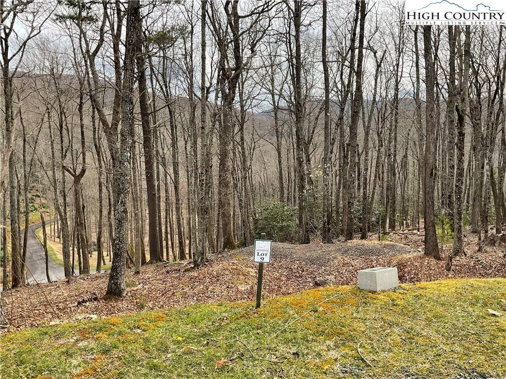 Boone, NC 28607,Lot 10 Sunset Ridge