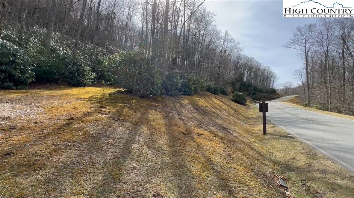 Blowing Rock, NC 28605,TBD Lot 120 Firethorn TRL