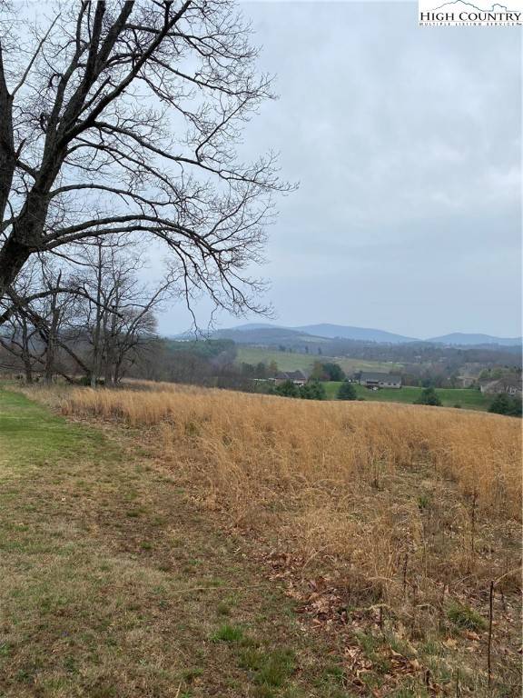 Sparta, NC 28675,TBD Doctors Street RD