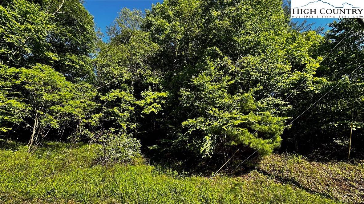 Jefferson, NC 28640,TBD (Lot 13) PECK PEAK RD