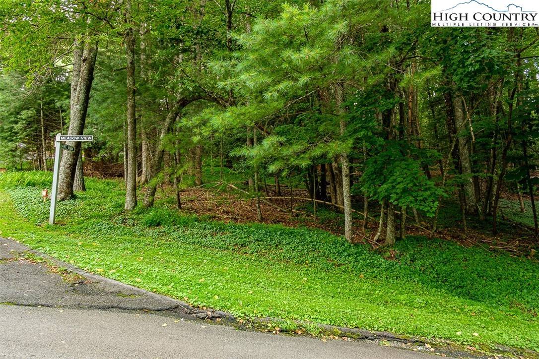 Roaring Gap, NC 28668,TBD Meadow View/Lakeview DR