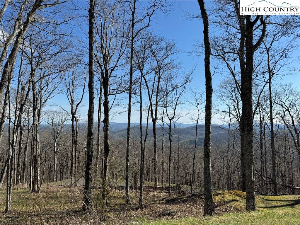Todd, NC 28684,TBD Elk Creek Mountain Pkwy