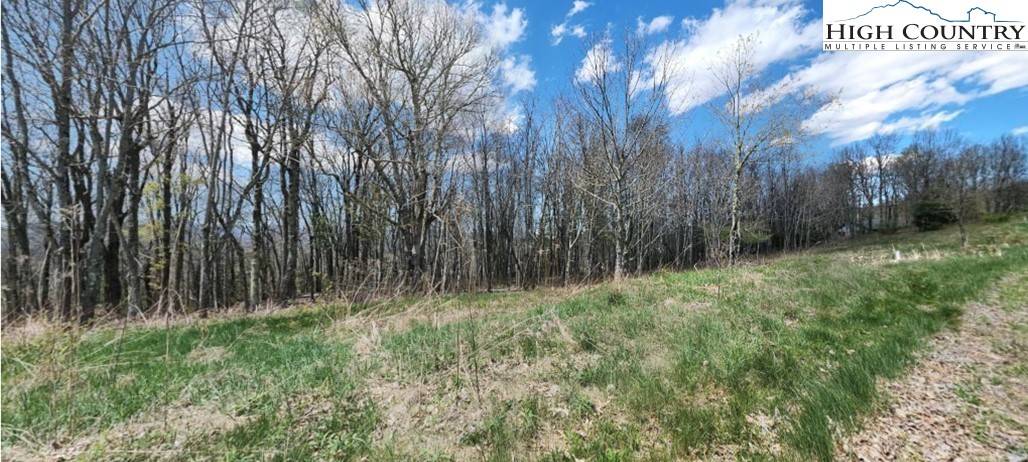 Newland, NC 28657,Lot 4 Crestwood CIR