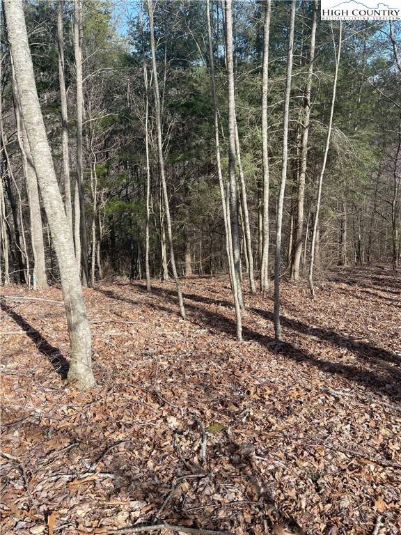 Vilas, NC 28692,Lot 9 W Point DR