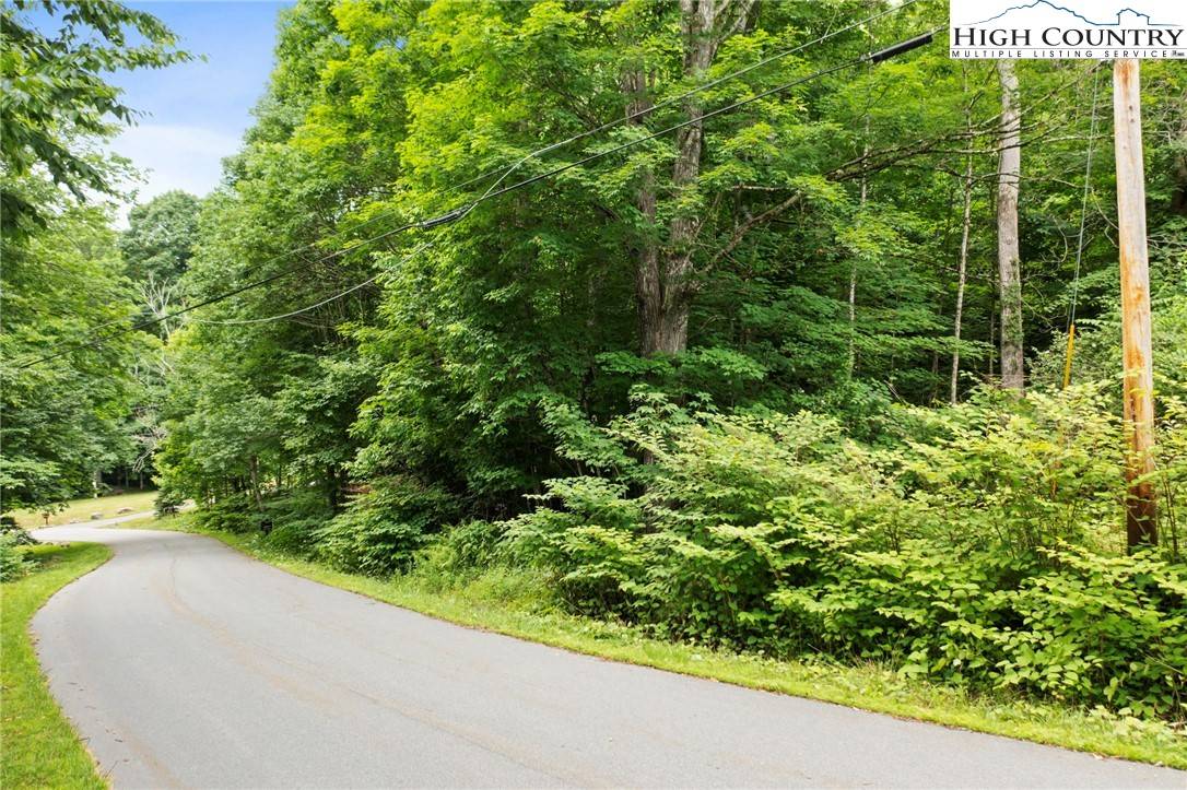 Banner Elk, NC 28622,58.08 Ac. Tract Barlow RD