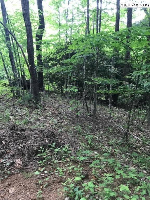 West Jefferson, NC 28694,Lot 48 White Tail RD