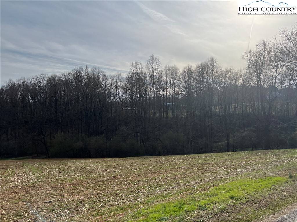 Wilkesboro, NC 28697,TBD Red Top RD