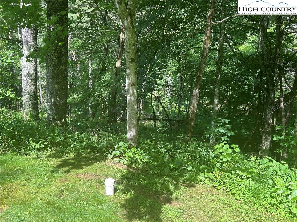 Zionville, NC 28698,TBD Carefree Cove RD