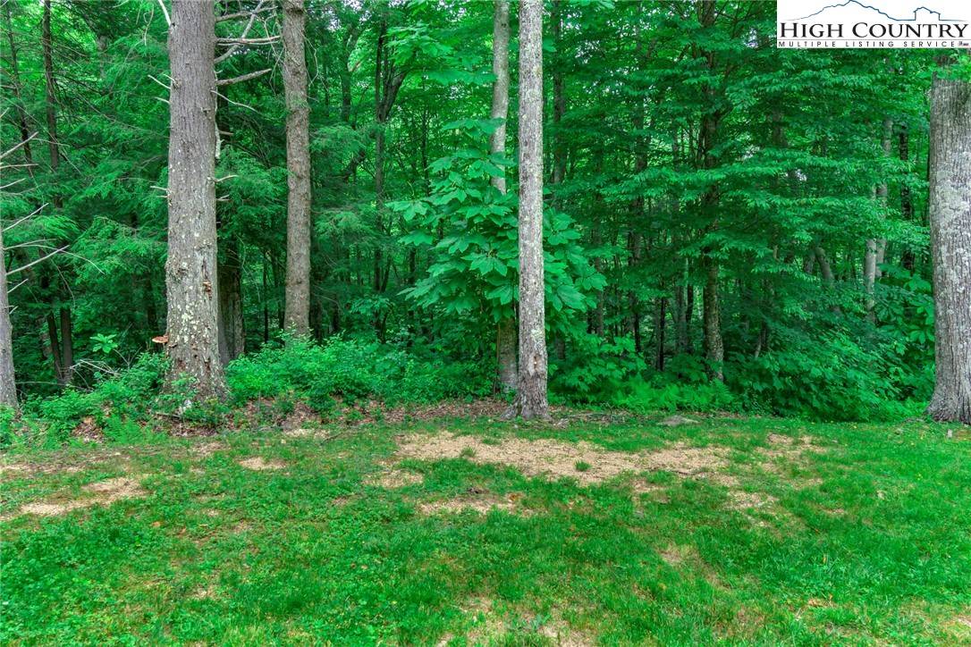 Banner Elk, NC 28604,N-95 Eagles Nest TRL