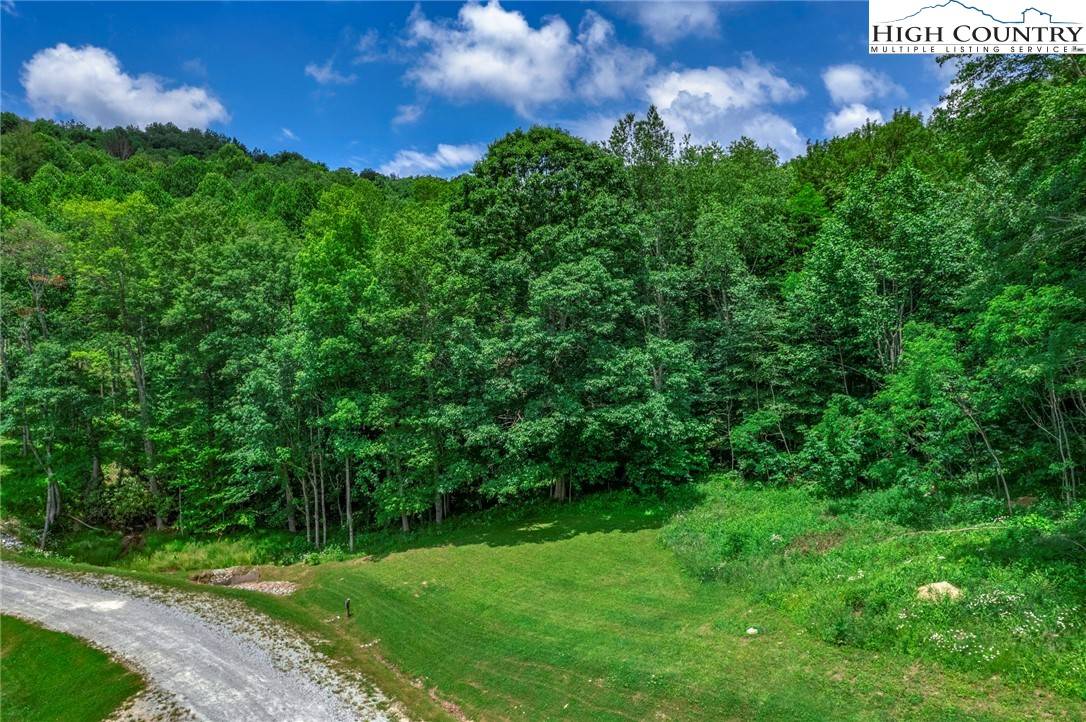 Elk Park, NC 28604,WR 13 Firethorne LN
