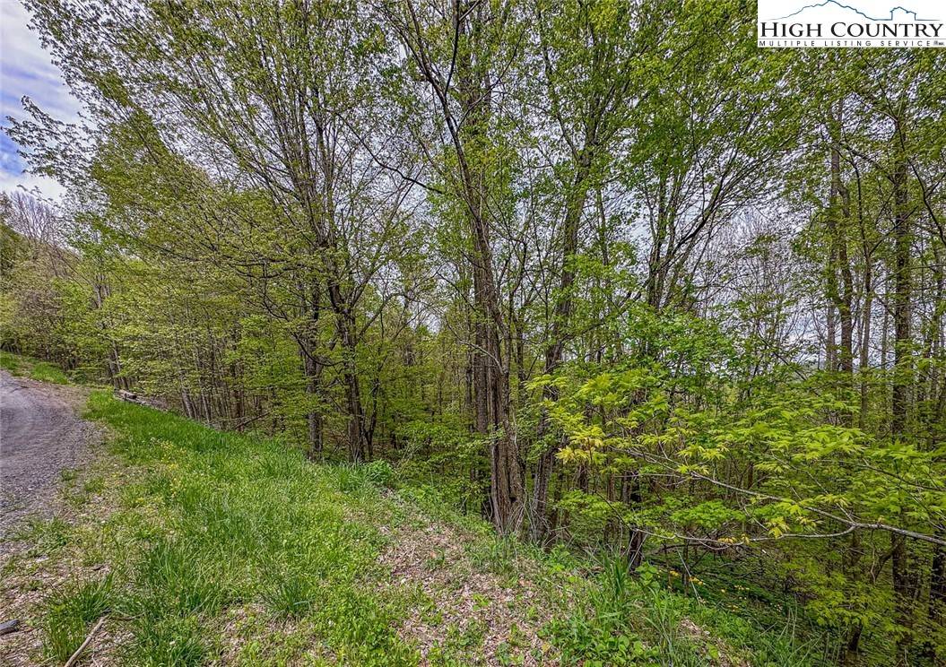 West Jefferson, NC 28694,LOT 20 TOWNVIEW ST