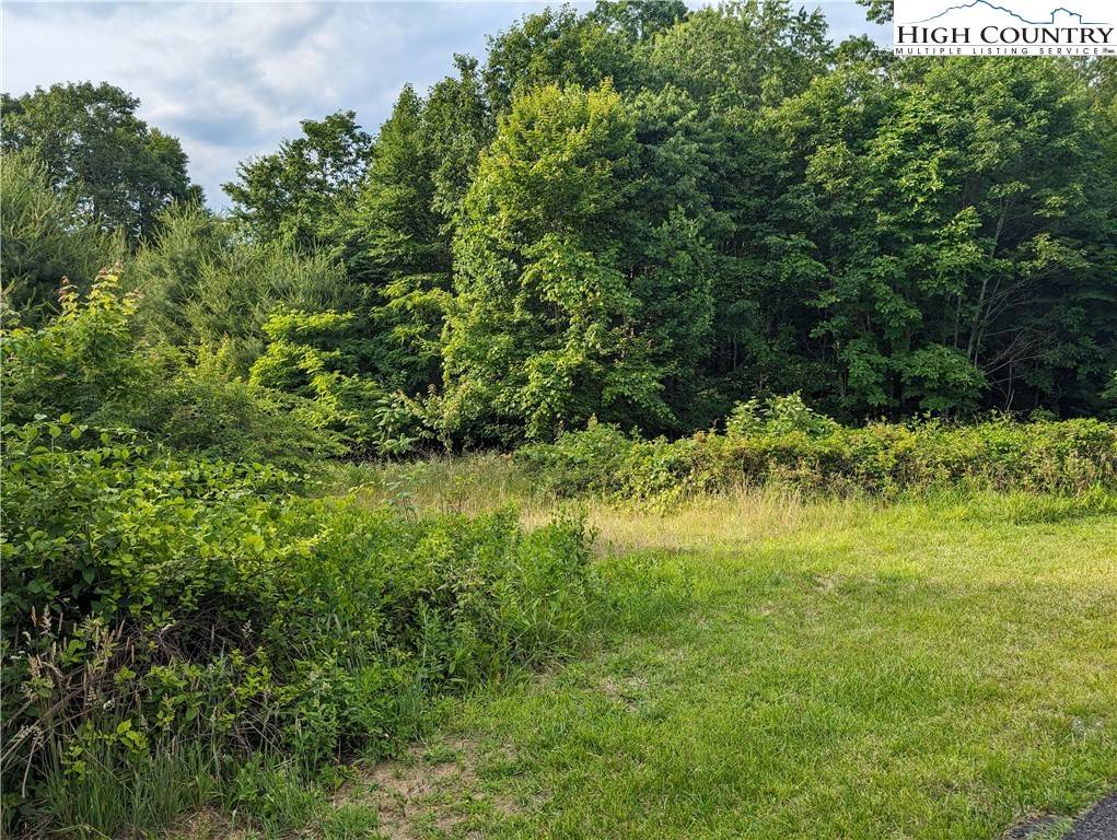 Sparta, NC 28675,Lot 13 Briarwood LN