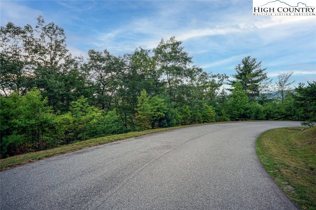 Boone, NC 28607,Lot 352 Pepperroot RD