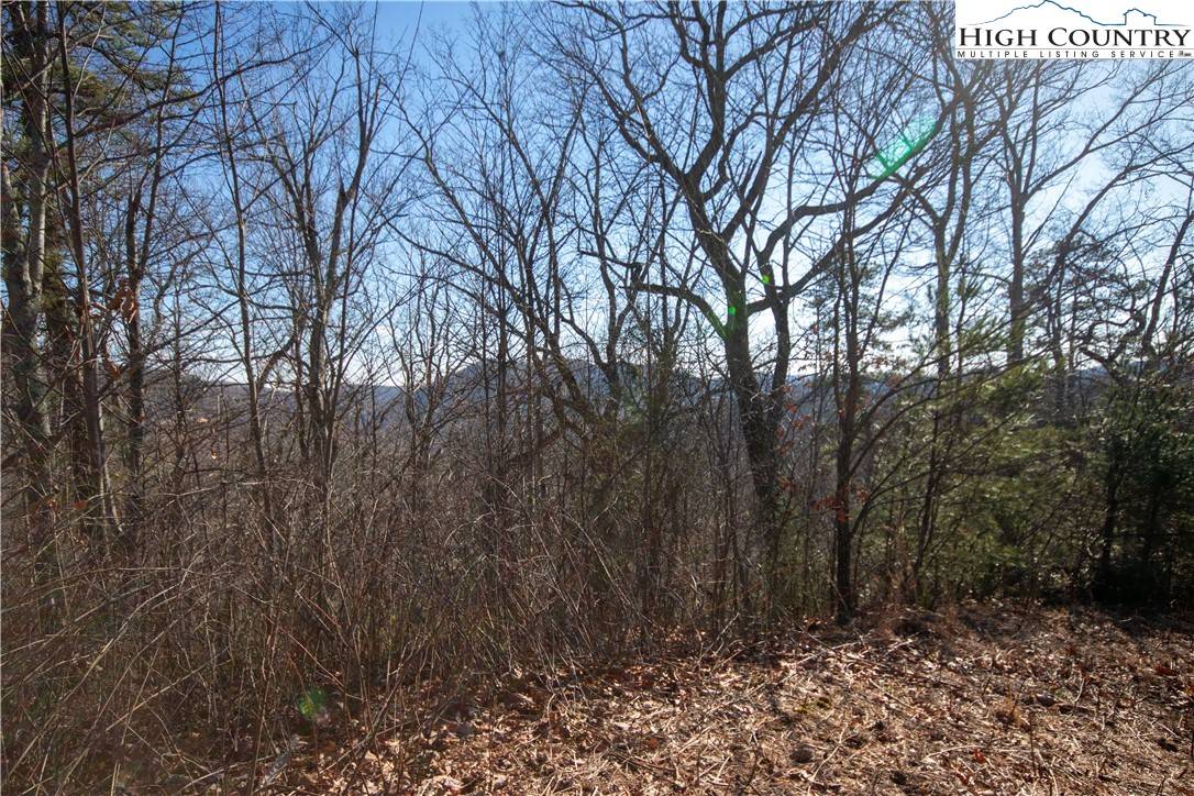 Lenoir, NC 28645,Lot# 502 Timber Rock LN