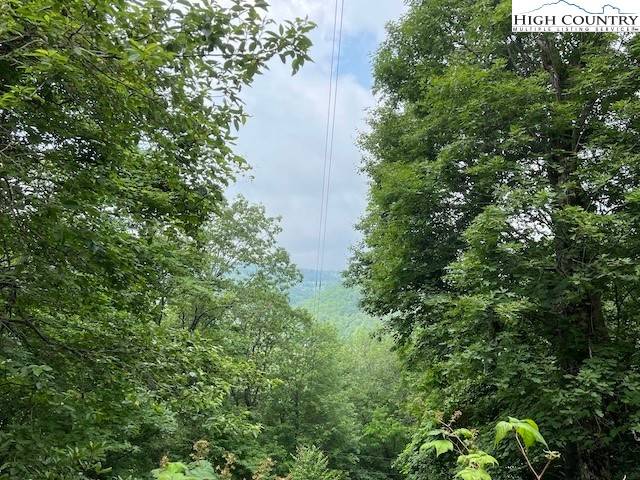 Boone, NC 28607,TBD Locust Point DR