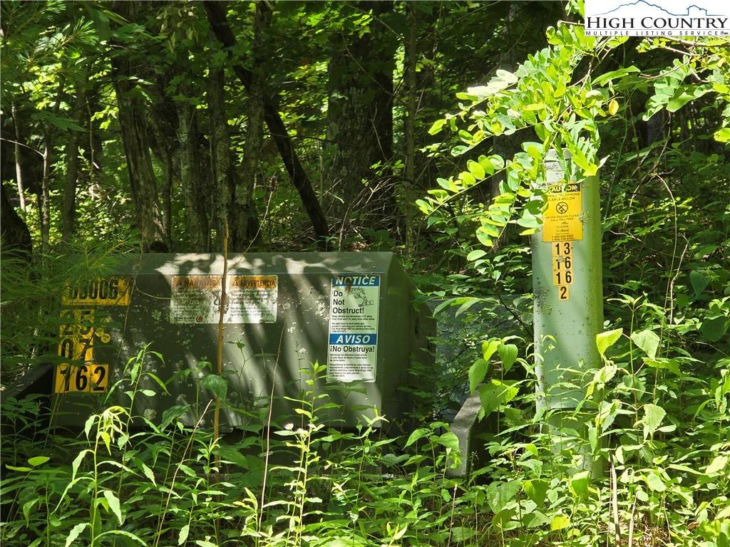 West Jefferson, NC 28694,Lot 62 White Tail TRL