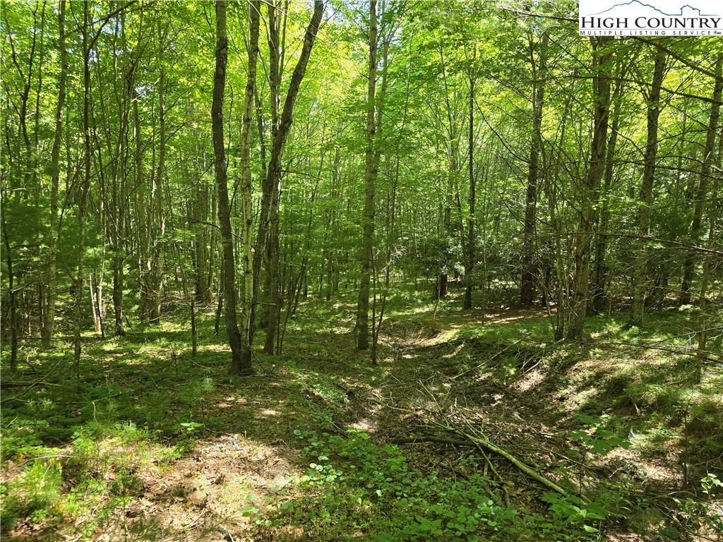 West Jefferson, NC 28694,Lot 50 Deer Spring Ln/White Tail TRL