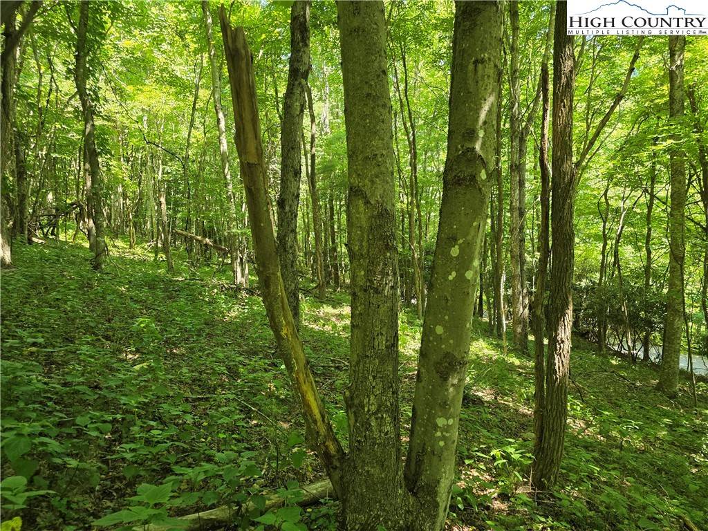 West Jefferson, NC 28694,Lot 70 White Tail TRL