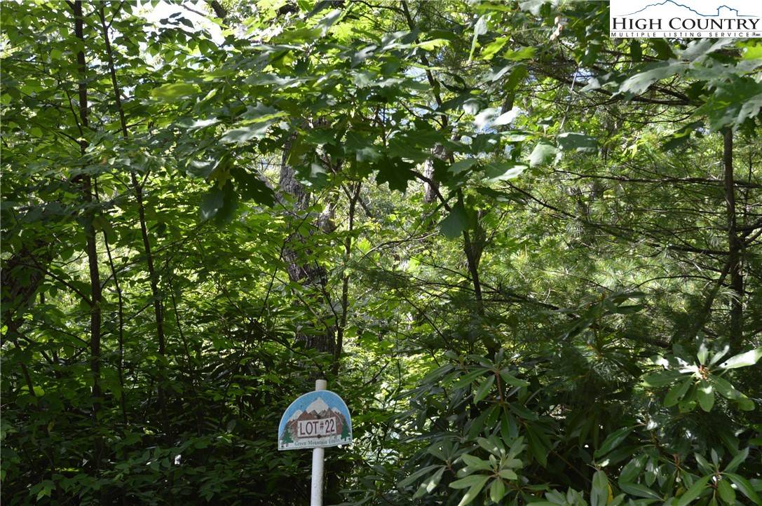 Sparta, NC 28675,Lot #22 Rocky Mountain RD