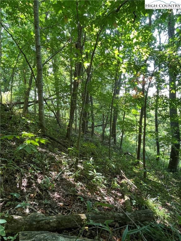 Vilas, NC 28692,TBD Fletcher Branch Rd