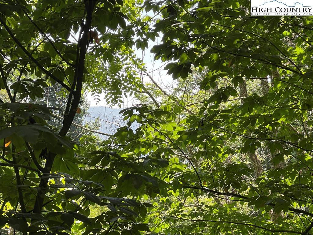 Vilas, NC 28692,TBD Fletcher Branch Rd