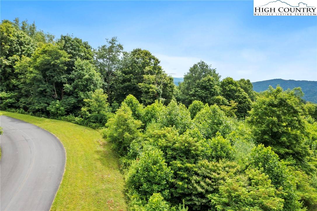 Zionville, NC 28698,TBD Buffalo Nvno DR