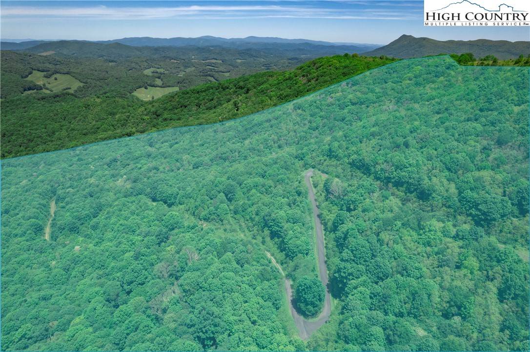 Zionville, NC 28698,TBD Sugartree/Buffalo Nvno