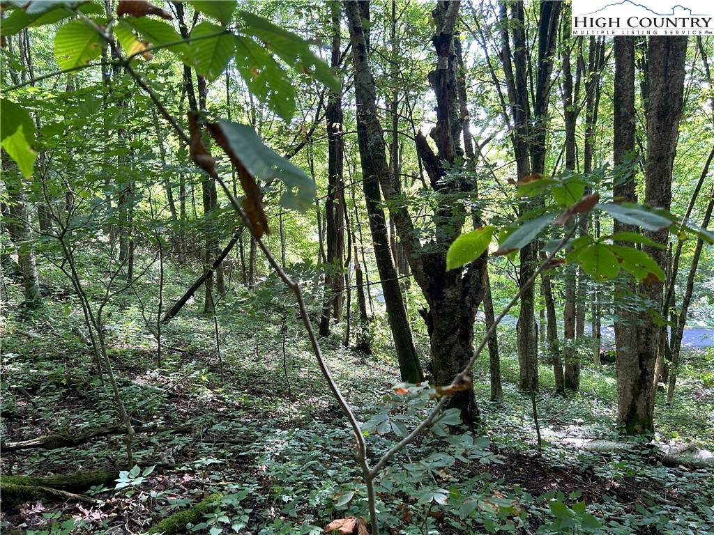 Newland, NC 28657,TBD/Lot 27 Jewelweed TRL