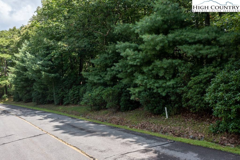 Roaring Gap, NC 28668,TBD Lot 177 Troon AVE