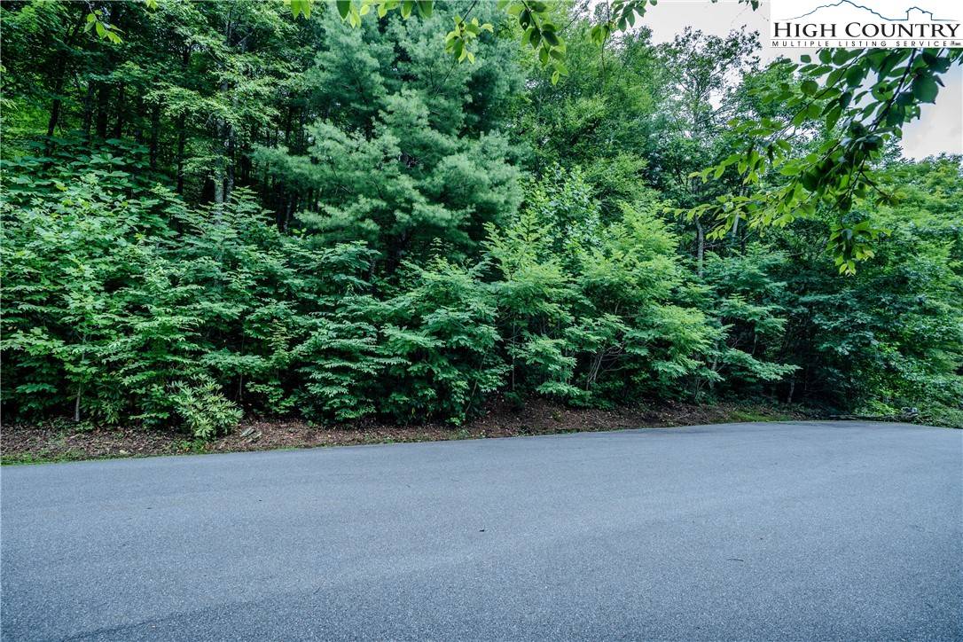 Linville, NC 28646,Lot 9 Oak ST