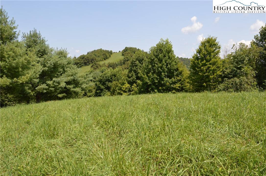 Sparta, NC 28675,Lot #16 Twin Oaks Mountain BLVD