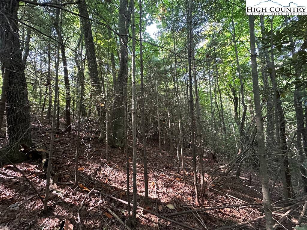 Purlear, NC 28665,Lot 17C Cielo Ridge WAY
