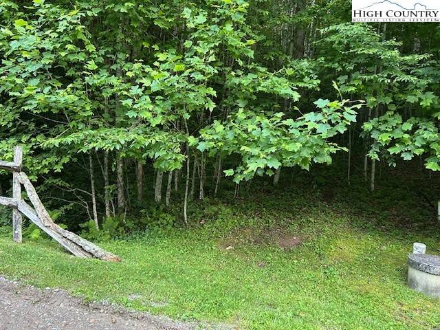 Zionville, NC 28698,Lot 66 Carefree Cove RD