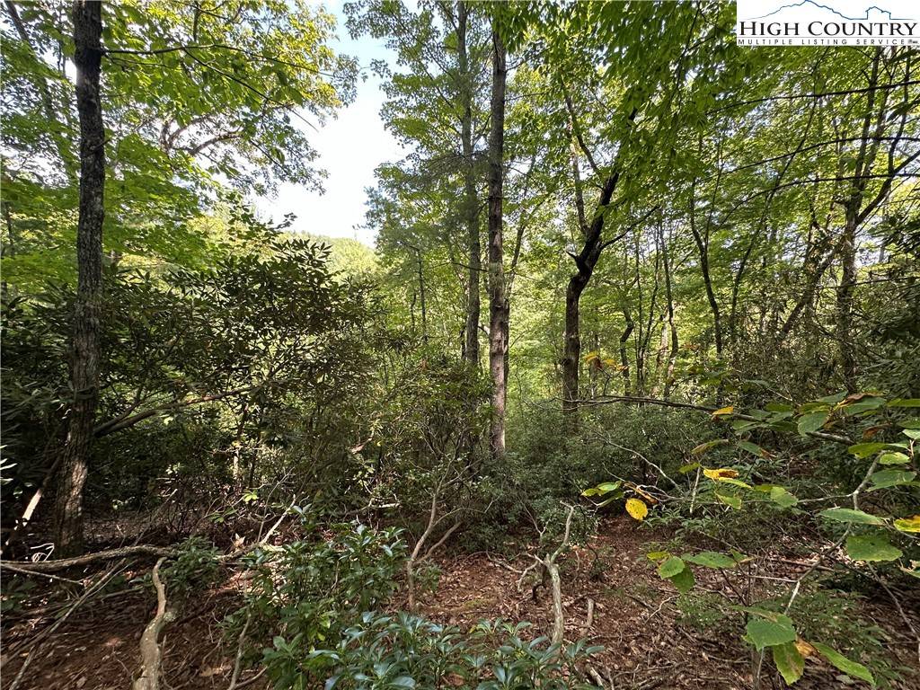 Purlear, NC 28665,Lot 27E Cascade RUN