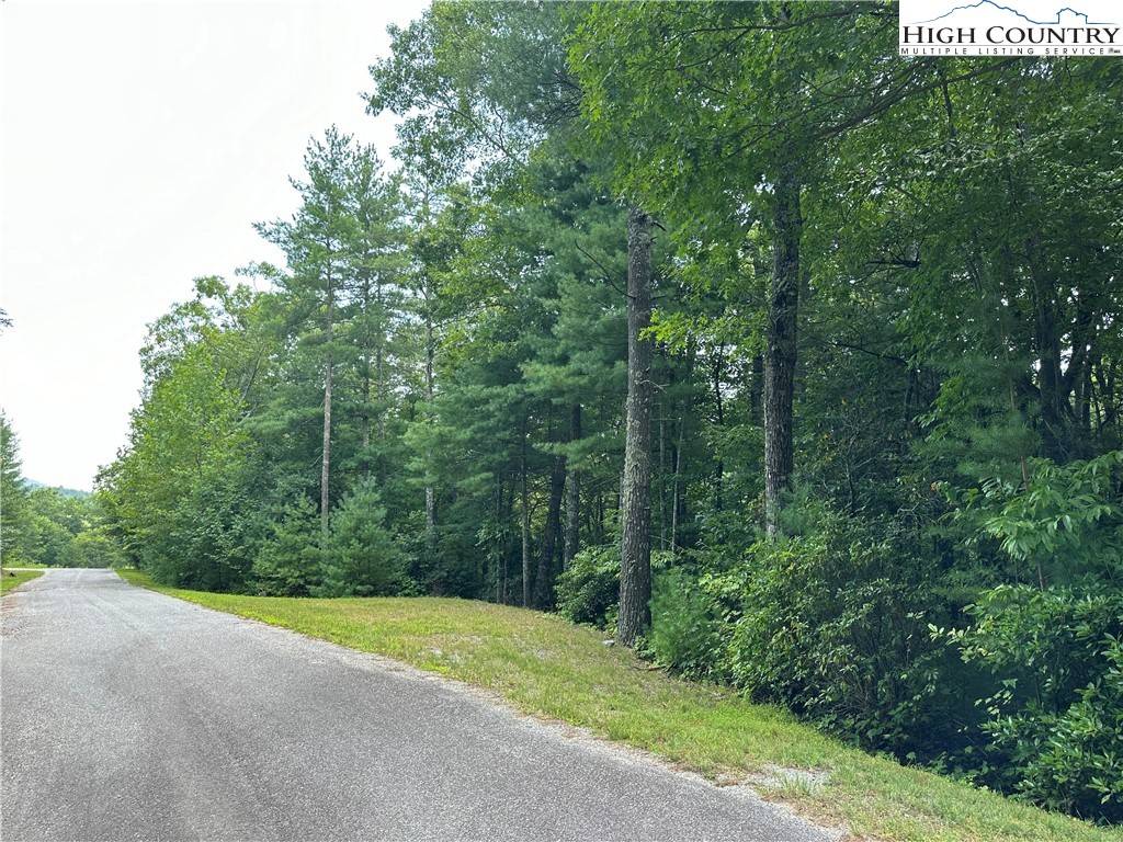Purlear, NC 28665,Lot 48E Cascade RUN