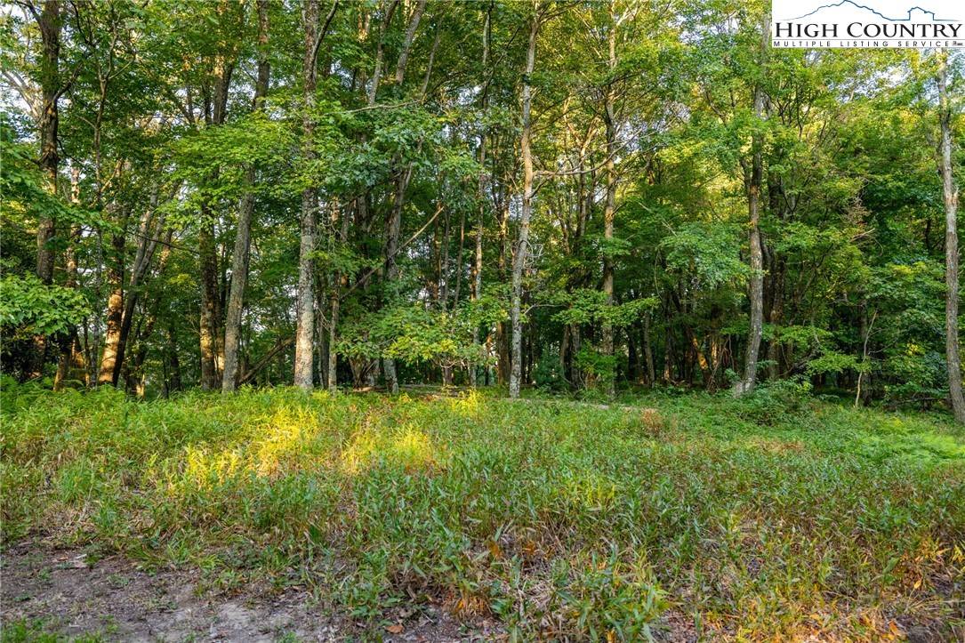 Sparta, NC 28675,TBD Omega WAY