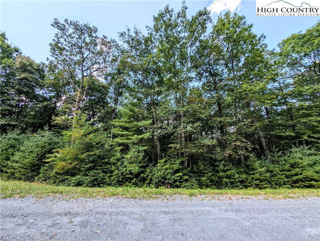West Jefferson, NC 28694,Lot 29 Walden LN