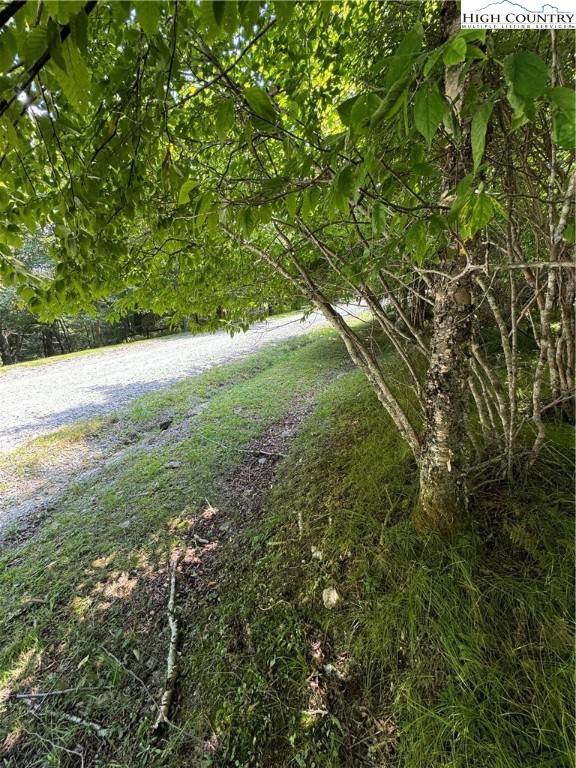 Beech Mountain, NC 28604,TBD Cranberry LN
