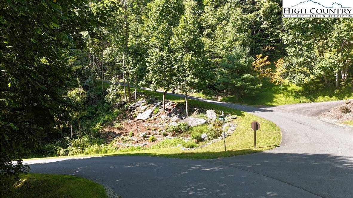 Boone, NC 28607,Lot 219 Ontario DR