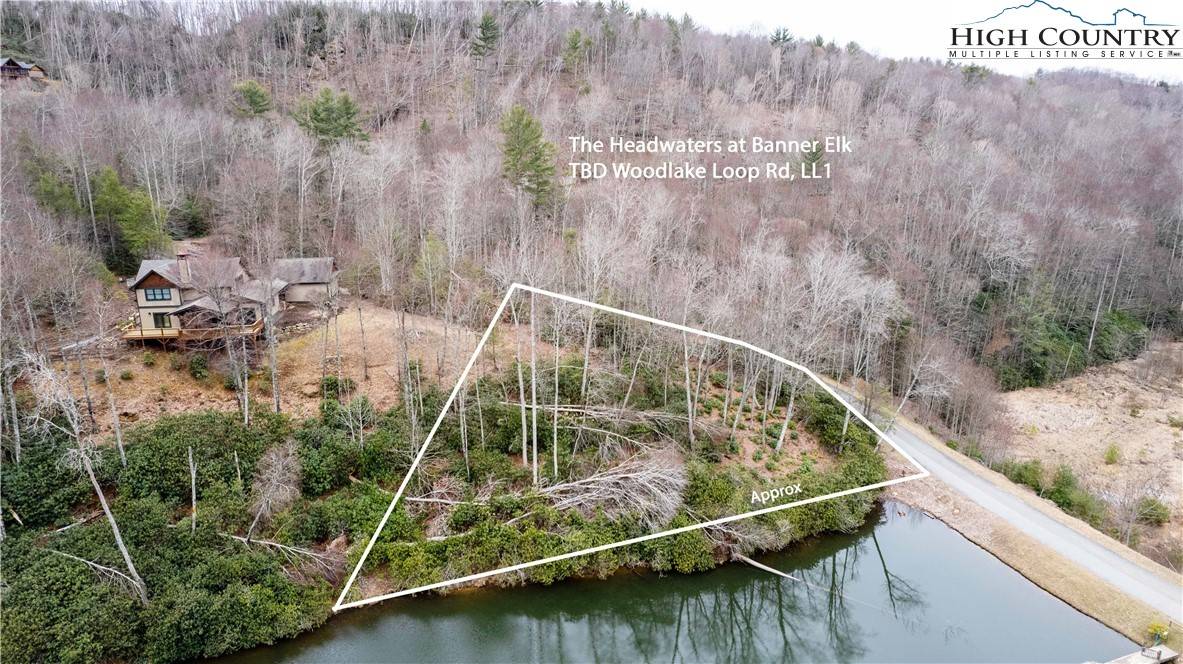 Elk Park, NC 28622,TBD Woodlake Loop RD #LL1