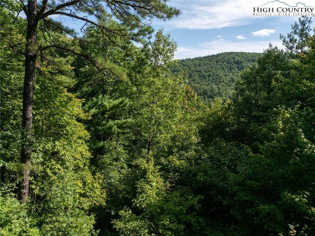 Purlear, NC 28665,Lot 34E Cascade RUN