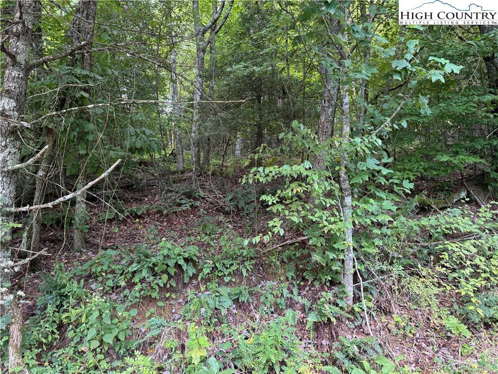 Fleetwood, NC 28626,Lot 22 Rhododendron RUN