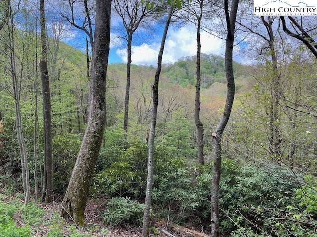 Blowing Rock, NC 28605,129 & 130 Firethorn Trail