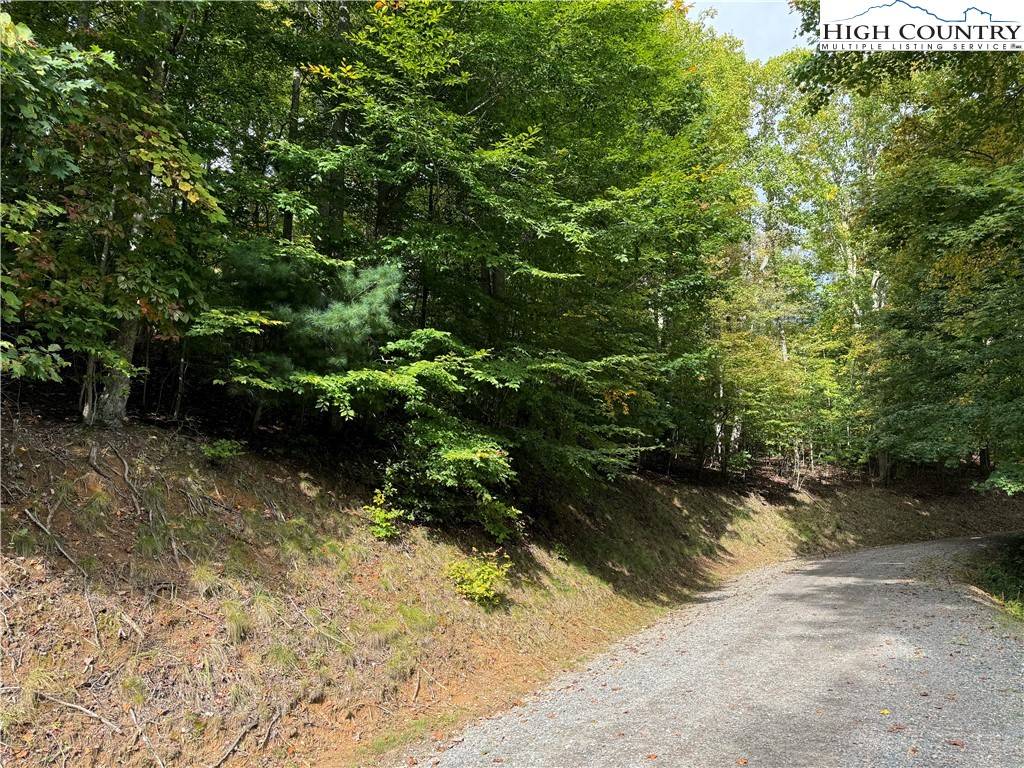 Zionville, NC 28698,TBD Carefree Cove RD