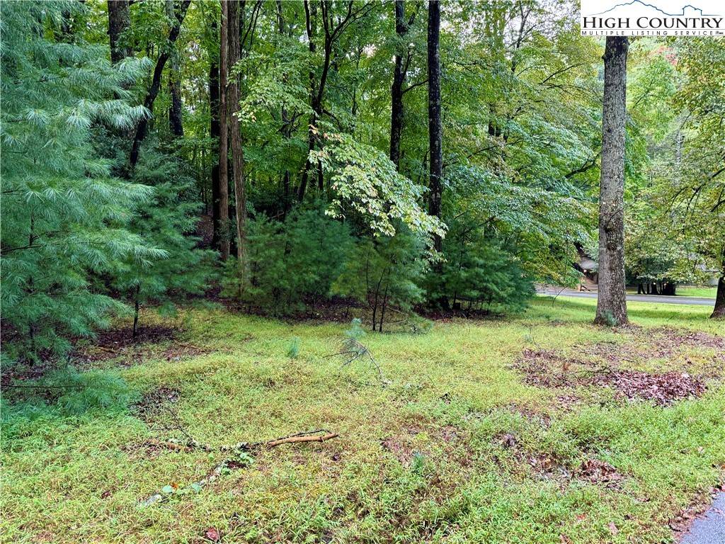 Deep Gap, NC 28618,TBD Powder Horn Mtn/Horseshoe Rdg W RD