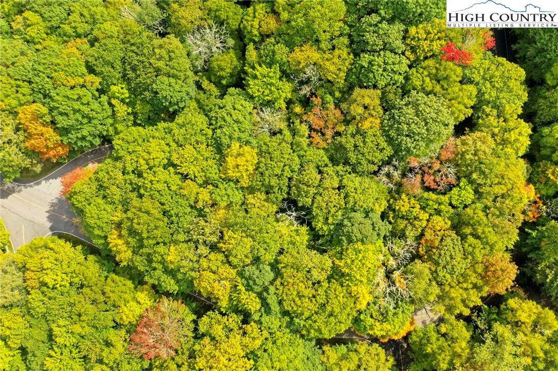 Banner Elk, NC 28604,Lot 85 Wren WAY