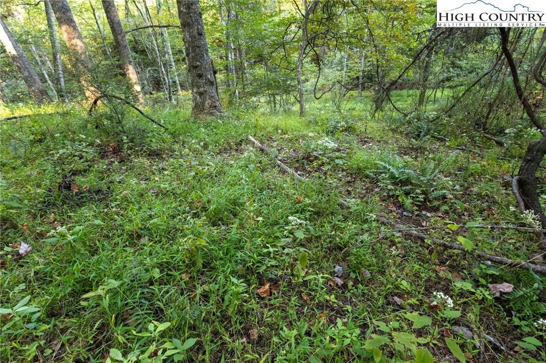 Grassy Creek, NC 28631,TBD Legra RD #55