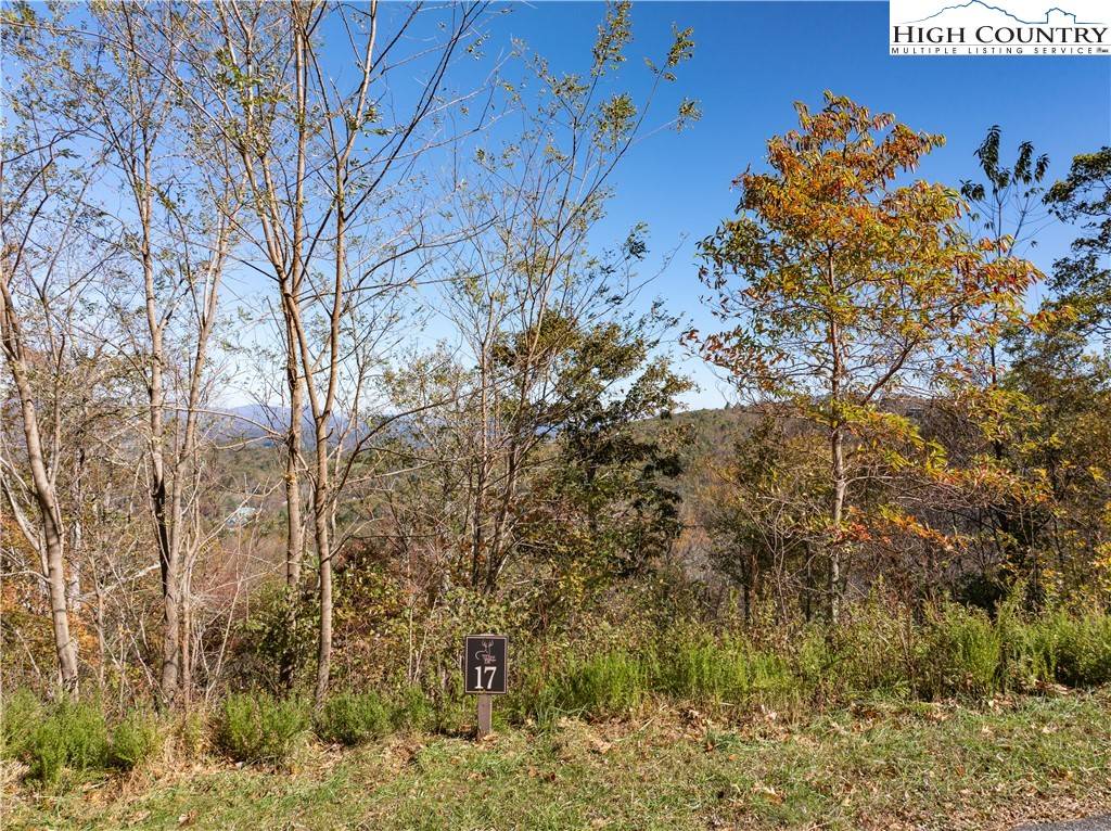 Boone, NC 28607,Lot 17 Antler TRL