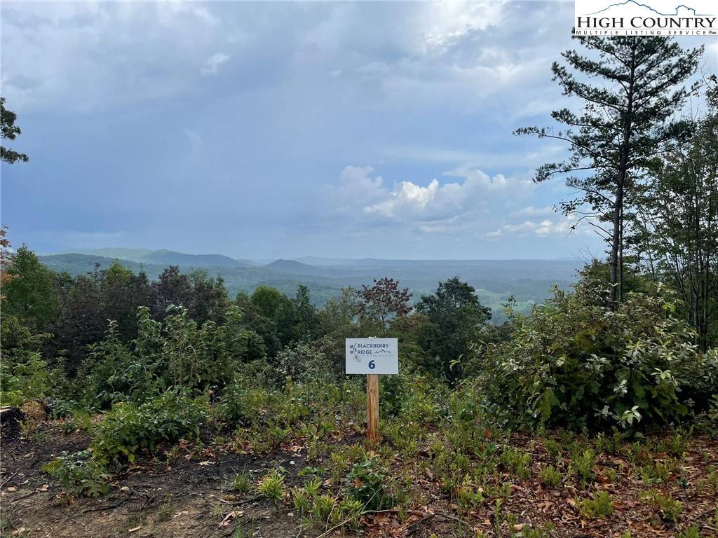 Hays, NC 28635,Tract 6 Cabin Creek RD