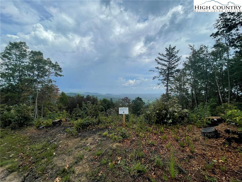 Hays, NC 28635,Tract 6 Cabin Creek RD